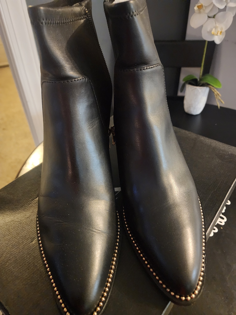 Coach Black Leather Pointed Toe Ankle Booties with Stud Trim